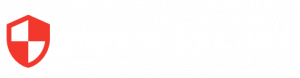 Safe and Secure Services UK Logo